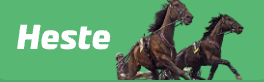 Bet25 Heste – hestevæddeløb betting